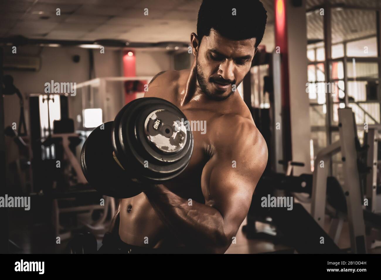 El hombre peludo saludable trabajando bíceps en un Centro Fitness Gym -  pesa unos rizos de concentración Fotografía de stock - Alamy