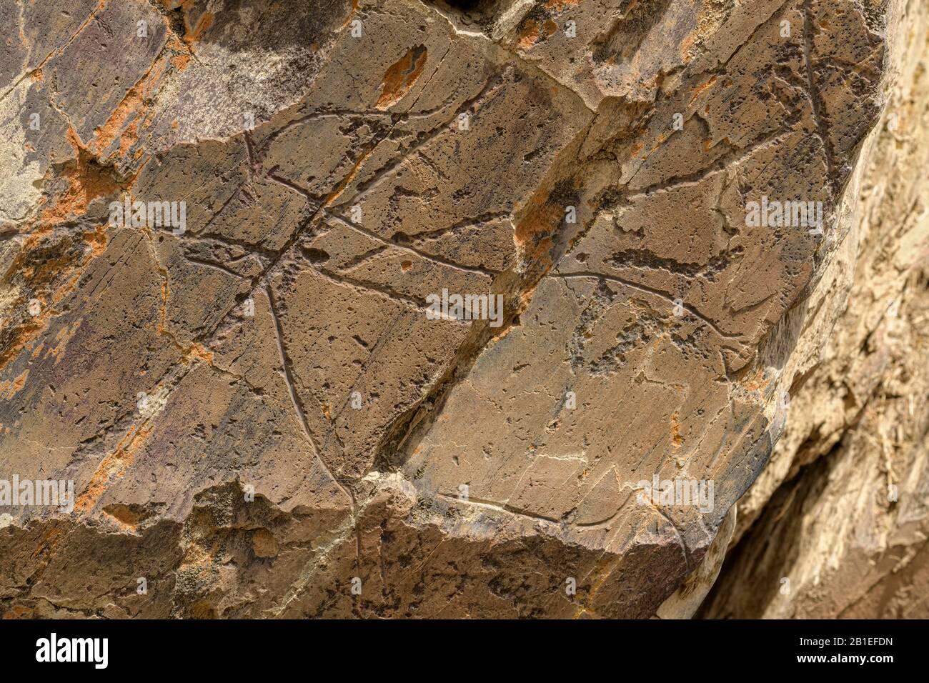 Prehistórico Rock Art Sitios de La Coa (ibex), Grabados del valle de Côa (petroglifos de más de 22,000 años) han sido reconocidos como un heri cultural Foto de stock