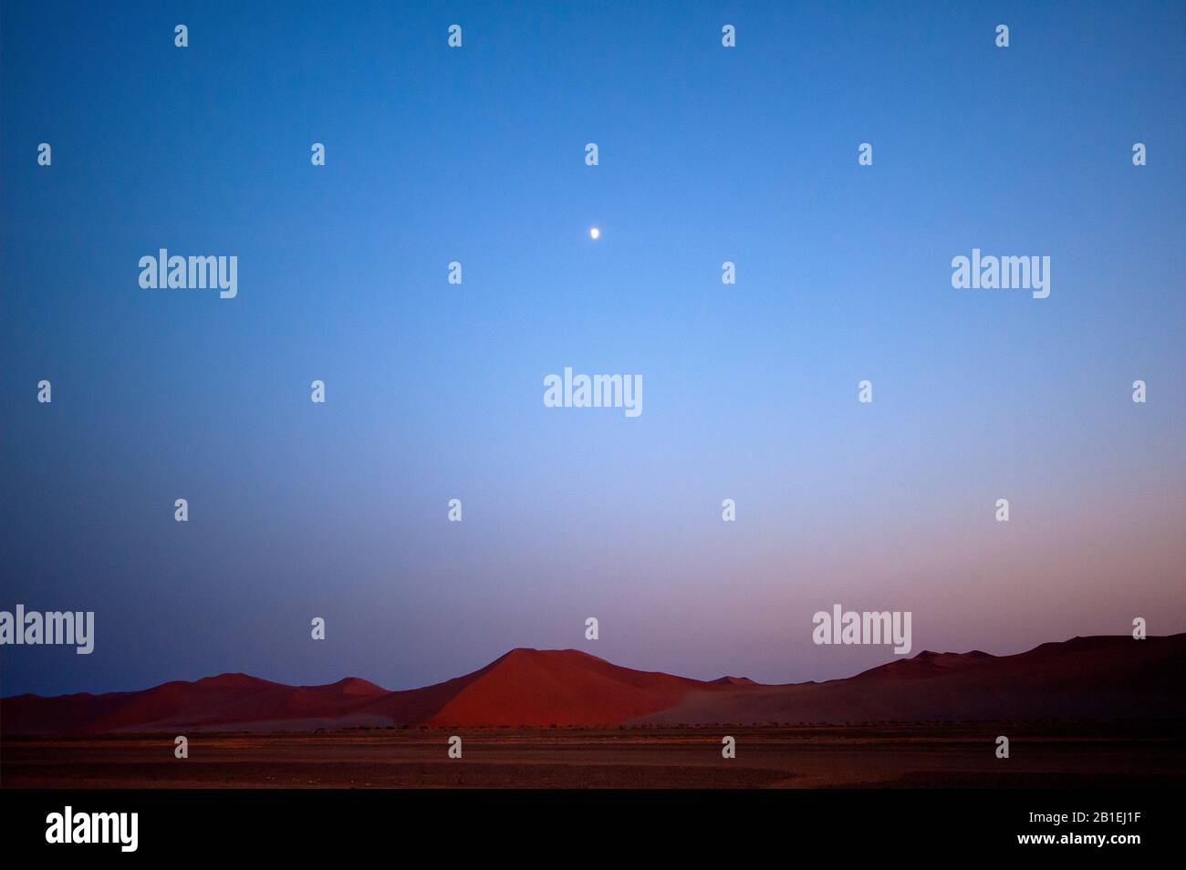Luz de la luna africana fotografías e imágenes de alta resolución - Alamy