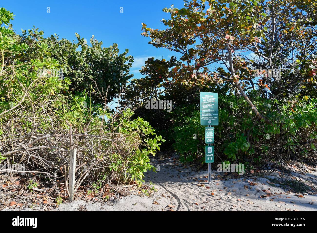 Miami, Miami Beach, Haulover'S Naturist Park, Fl Foto de stock