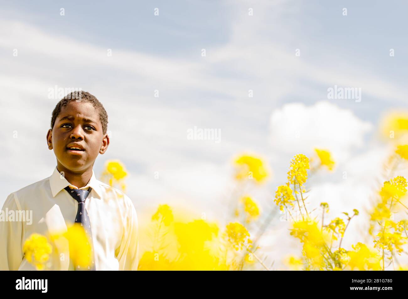 Niño negro con camisa blanca y corbata azul Foto de stock