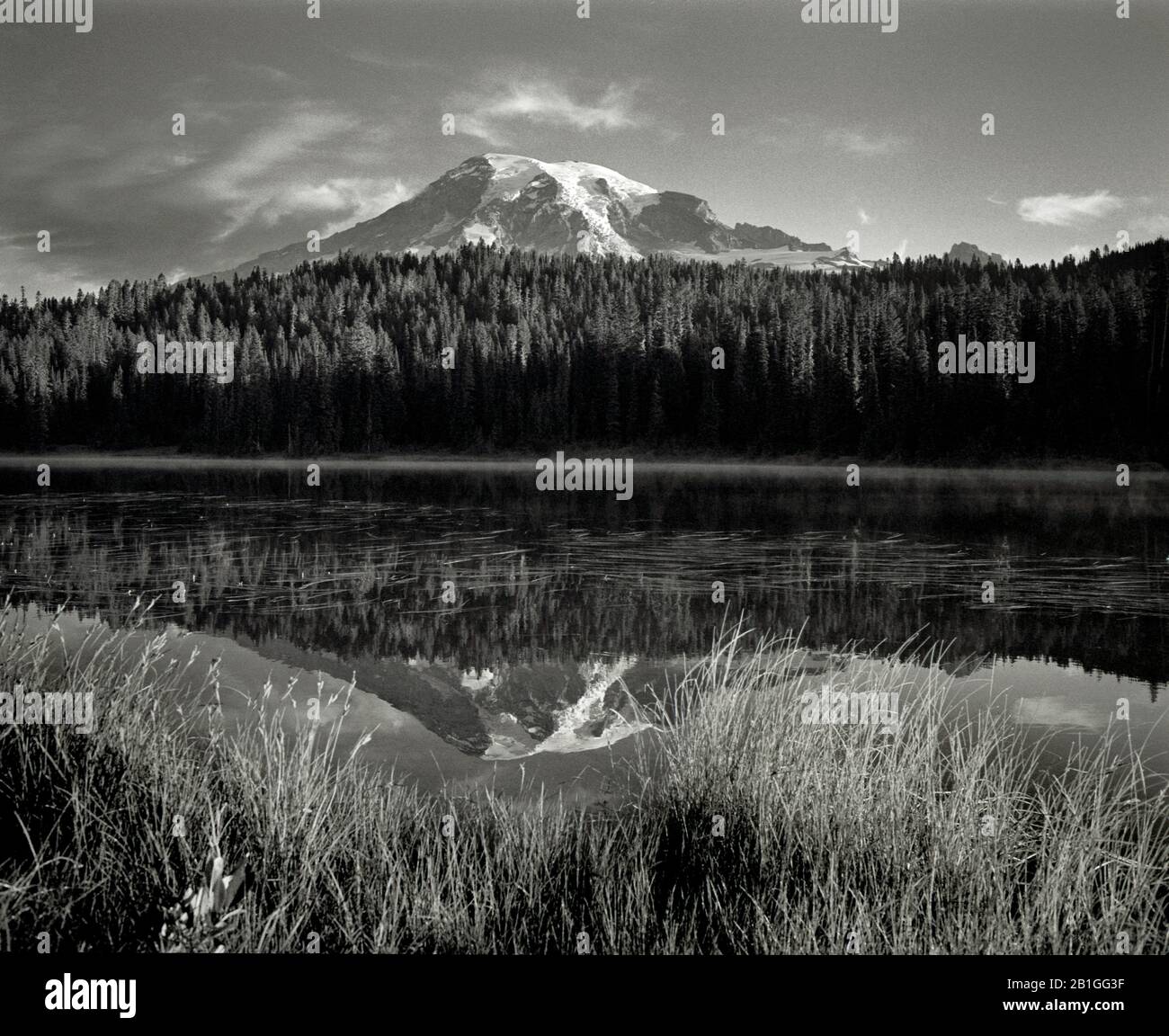 HB40006-00...WASHINGTON - el Monte Rainier se refleja en los lagos Reflection del Parque Nacional del Monte Rainier. Cámara Makina W67 y filtro amarillo nº 8. Foto de stock