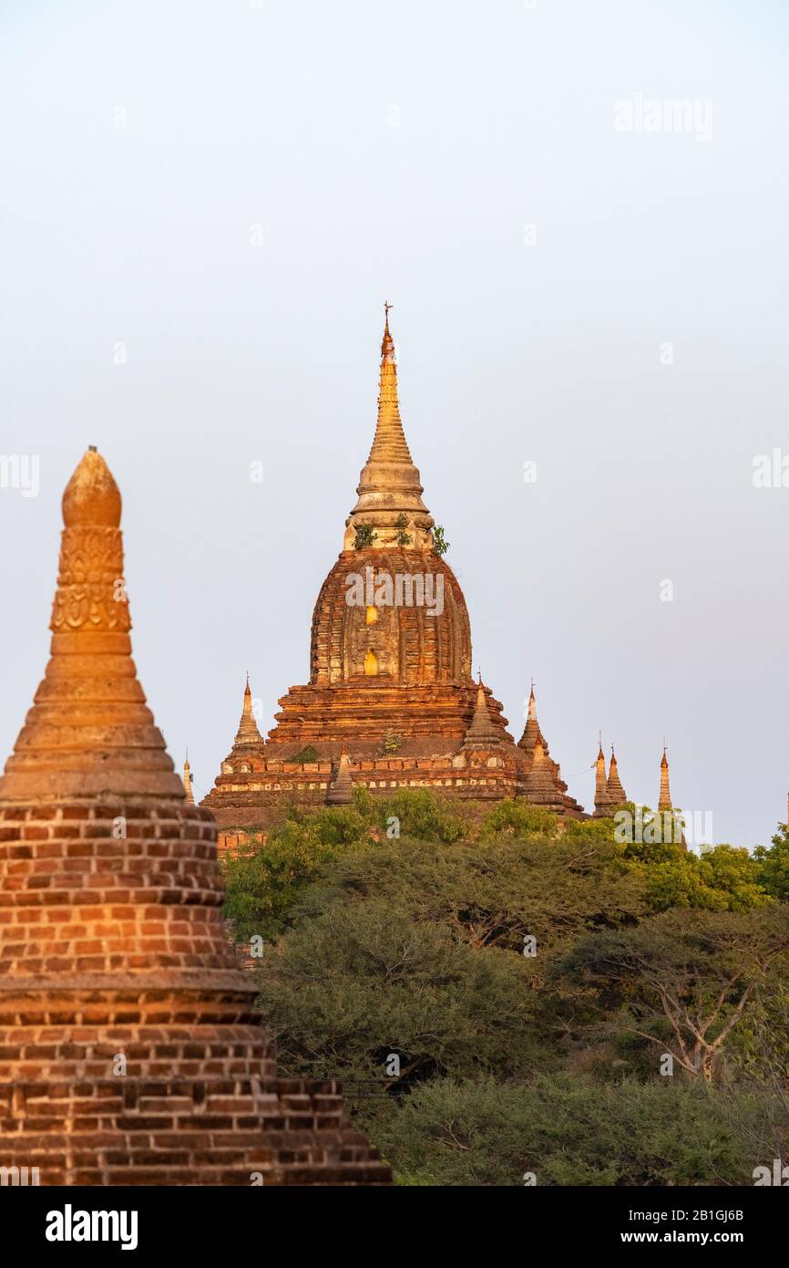 Templos a última hora de la tarde luz, Bagan, Mandalay Región, Myanmar Foto de stock