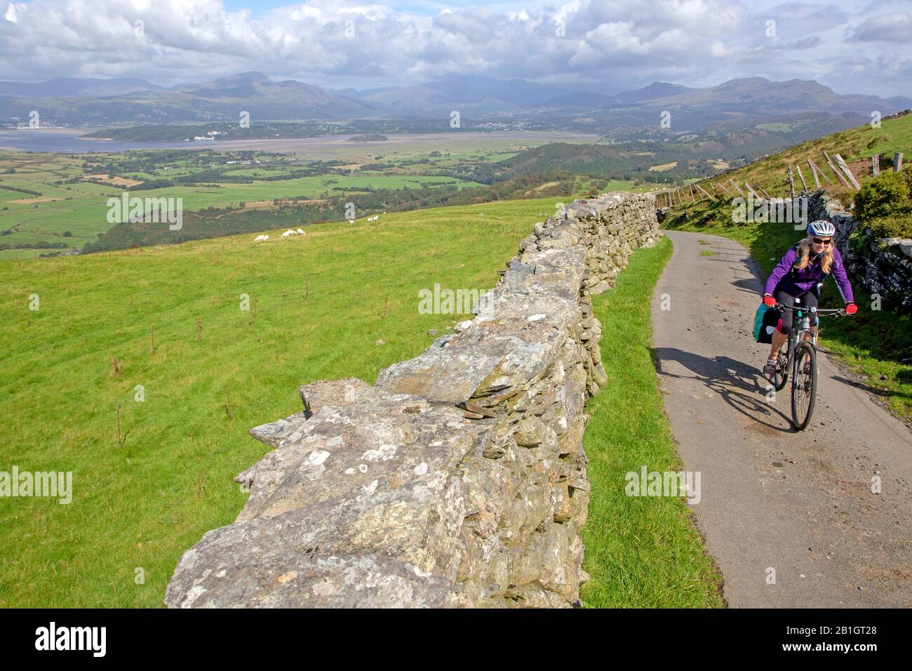 Ciclista por encima de Porthmadog en la ruta ciclista Lon las Cymru Foto de stock