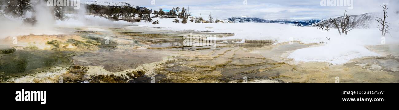 Mammoth Hot Springs, EE.UU., el Parque Nacional Yellowstone, Wyoming Foto de stock