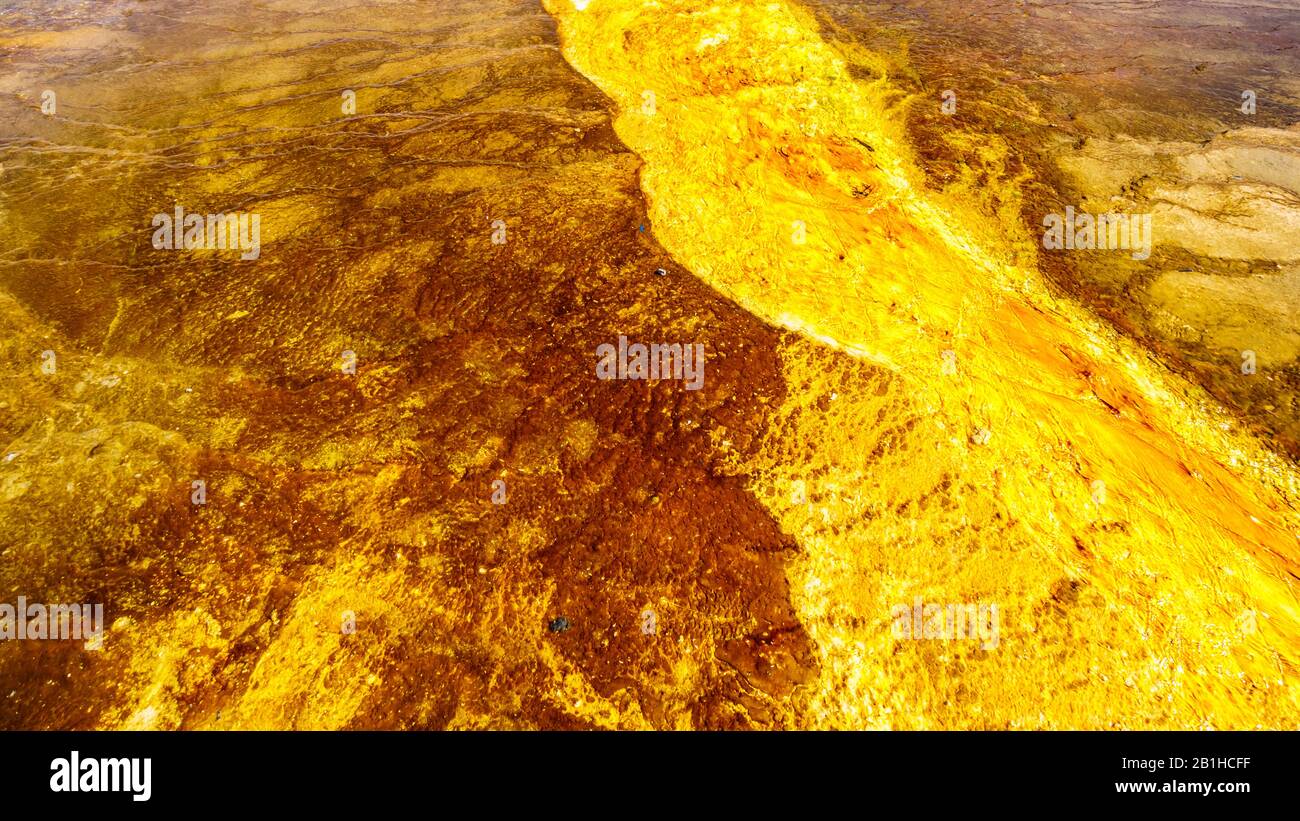Los Coloridos Sombreros Bacterianos Del Grand Prismatic Spring En Yellowstone National Park, Wyoming, United Sates Foto de stock