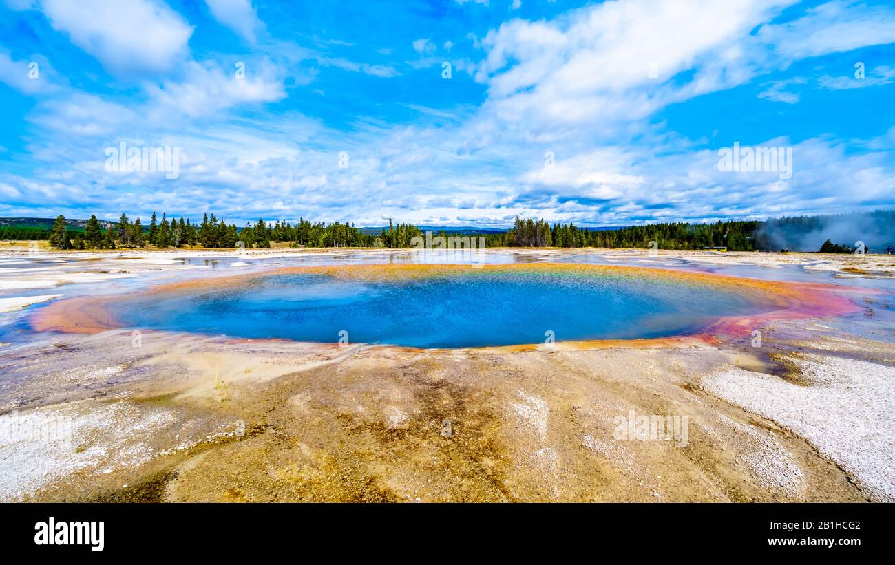 El agua de color turquesa del géiser de la piscina turquesa en el Parque Nacional Yellowstone, Wyoming, Estados Unidos Foto de stock