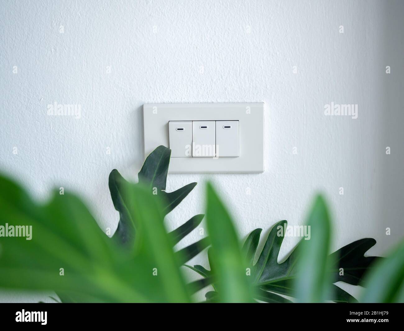 Tres interruptores de luz blanca en pared de concreto blanco con hojas de  palma verde tropical borrosas en primer plano, estilo minimalista  Fotografía de stock - Alamy