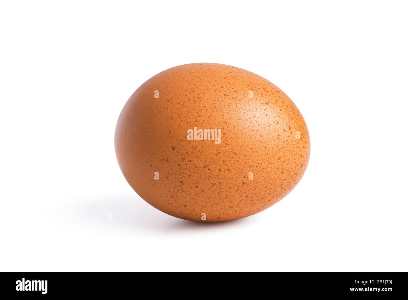 Huevo de pollo marrón horizontal aislado sobre fondo blanco con sombra. Foto de stock