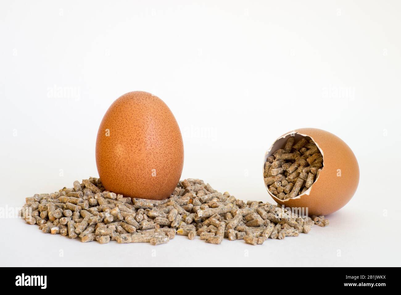 Huevo de gallina marrón moteado en los pellets de comida seca de la cáscara  la cáscara del huevo. El concepto del contenido del producto se beneficia  de t Fotografía de stock -