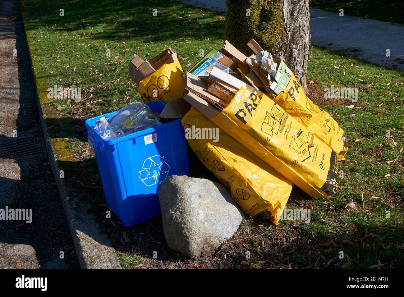 Contenedores de plástico y papel de desecho a la espera de recogida de reciclaje en Vancouver, BC, Canad Foto de stock