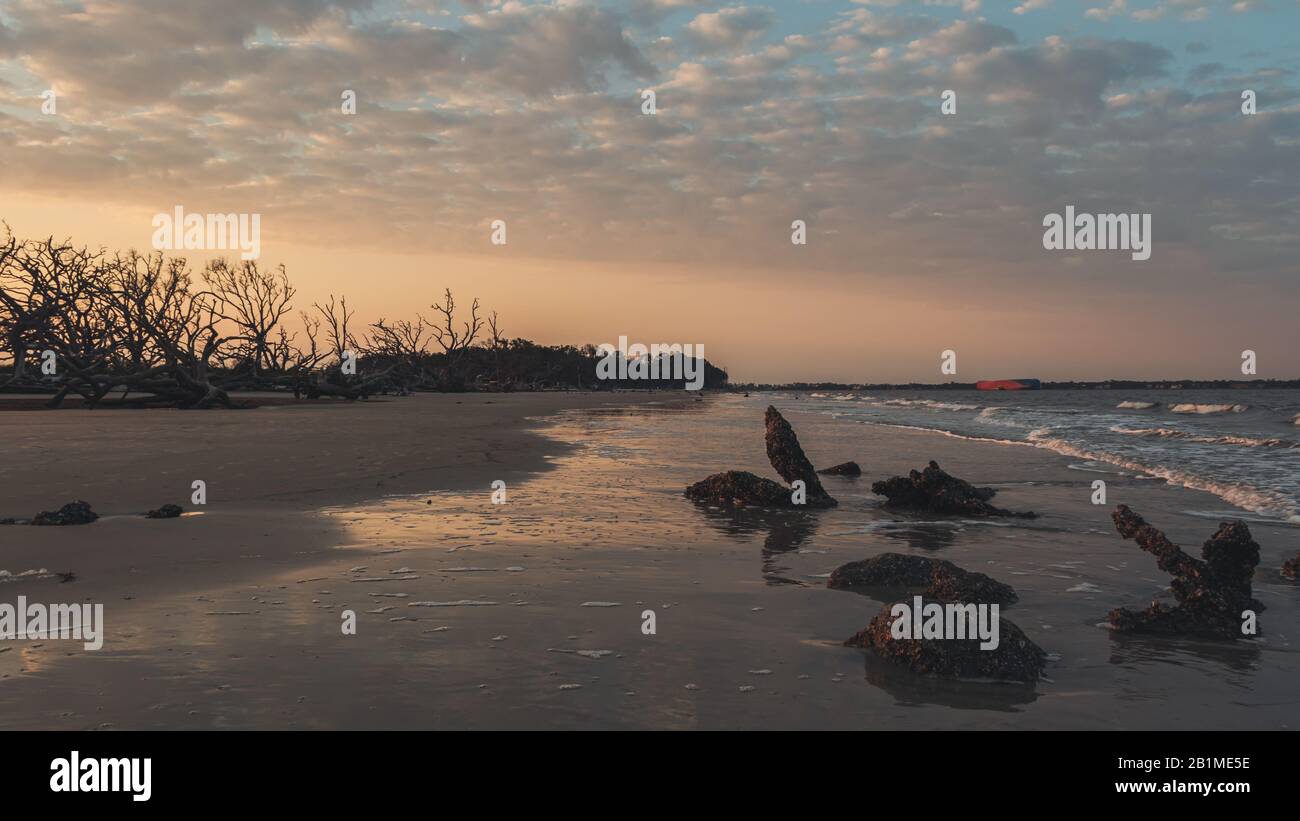 La costa con una colorida puesta de sol y el océano en la playa de madera a la deriva, Jekyll Island, Georgia. Foto de stock