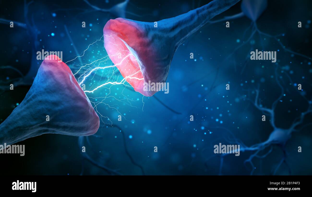 Sinapse y neurona sobre fondo azul. renderización 3d. Foto de stock
