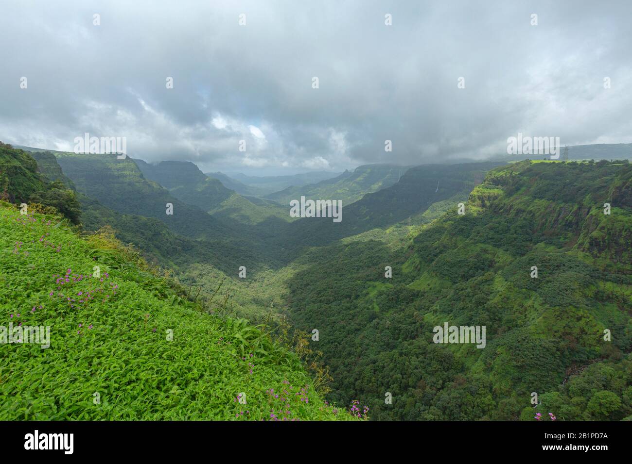 Kavlesaad Point, Misty montañas y bosque, Amboli, maharashtra Foto de stock