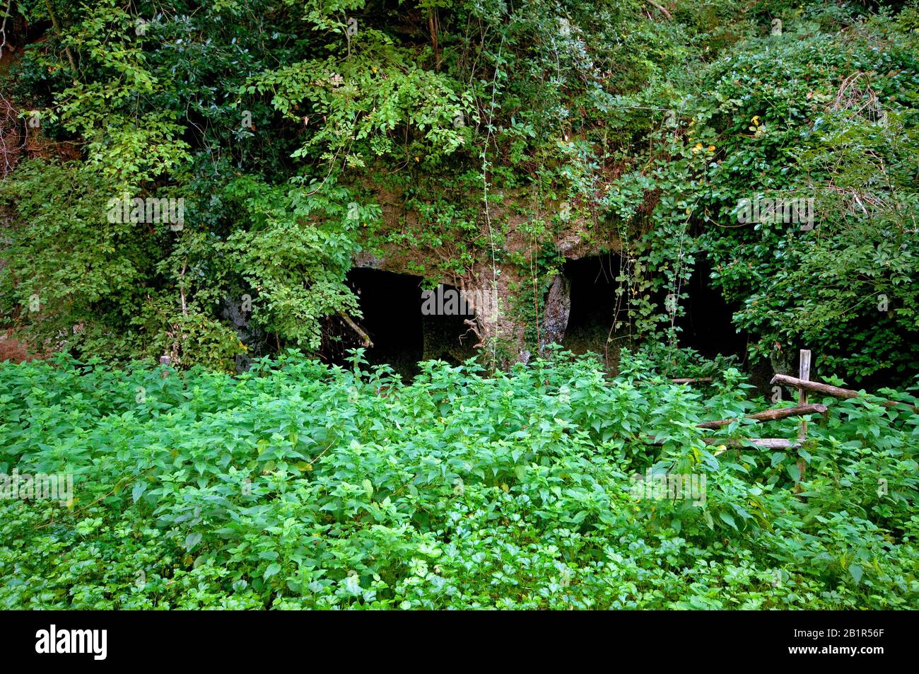 Necrópolis Etrusca-Romana En El Parque Regional De La Ciudad Antigua De Sutri, Lazio, Italia Foto de stock