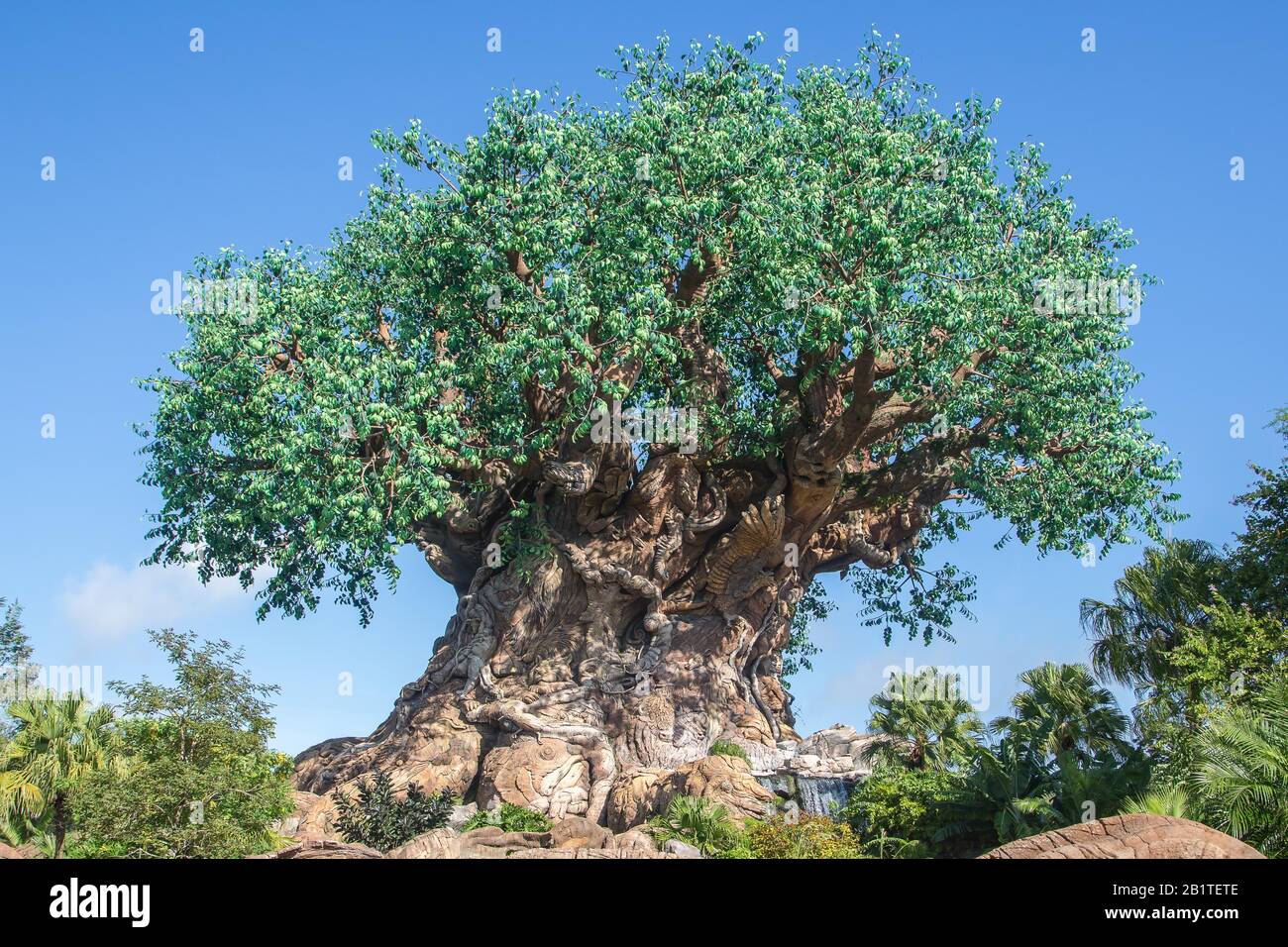 Tree Tree of Life, punto de referencia en el parque temático Animal Kingdom, Walt Disney World, Orlando, Florida, Estados Unidos Foto de stock