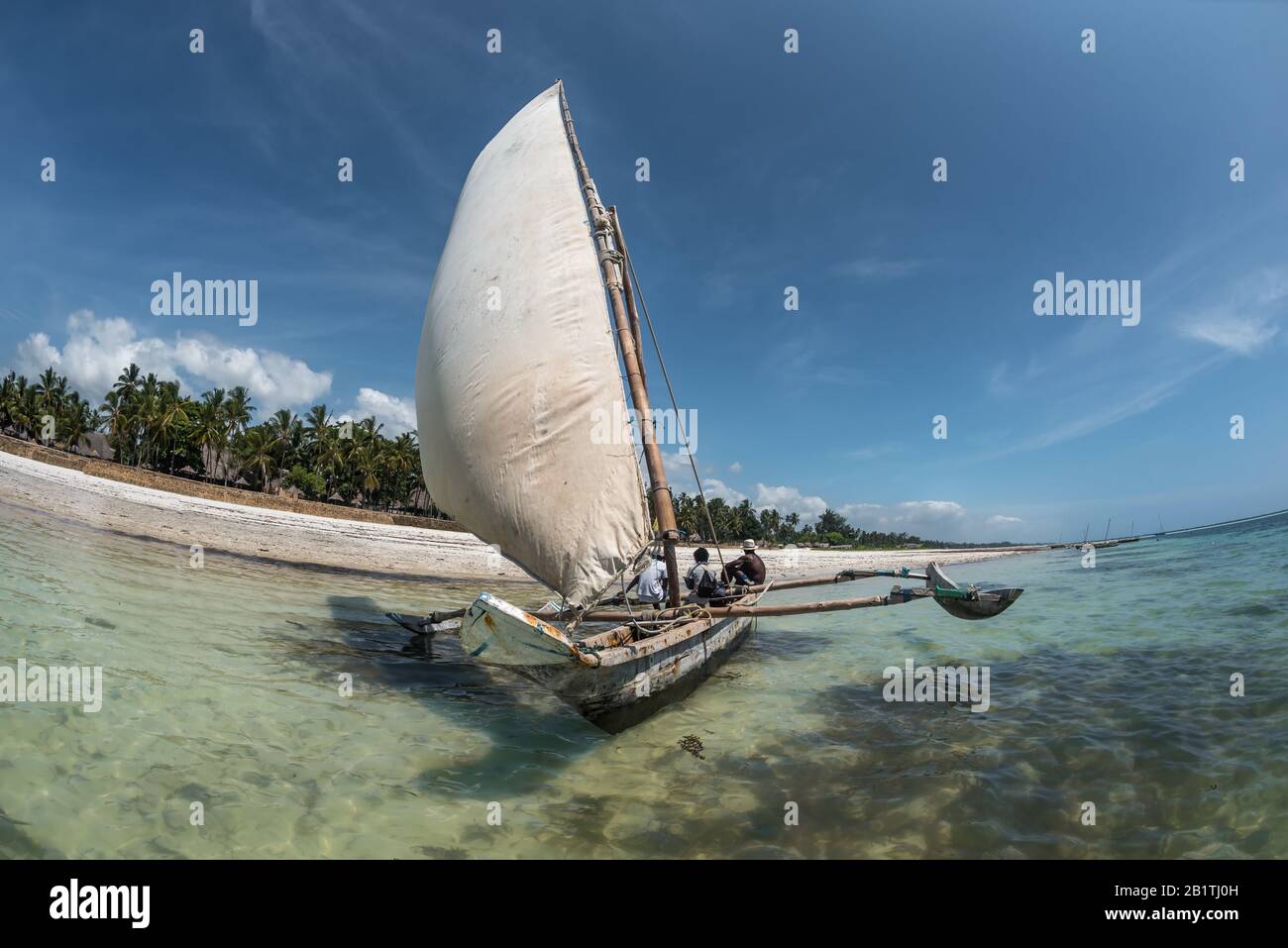 Vela con un barco de vela en Kenia, Zanzíbar y Maldivas en agua turquesa de  hermoso cristal en la playa tropical de arena blanca. Pesca tradicional de  madera Fotografía de stock -