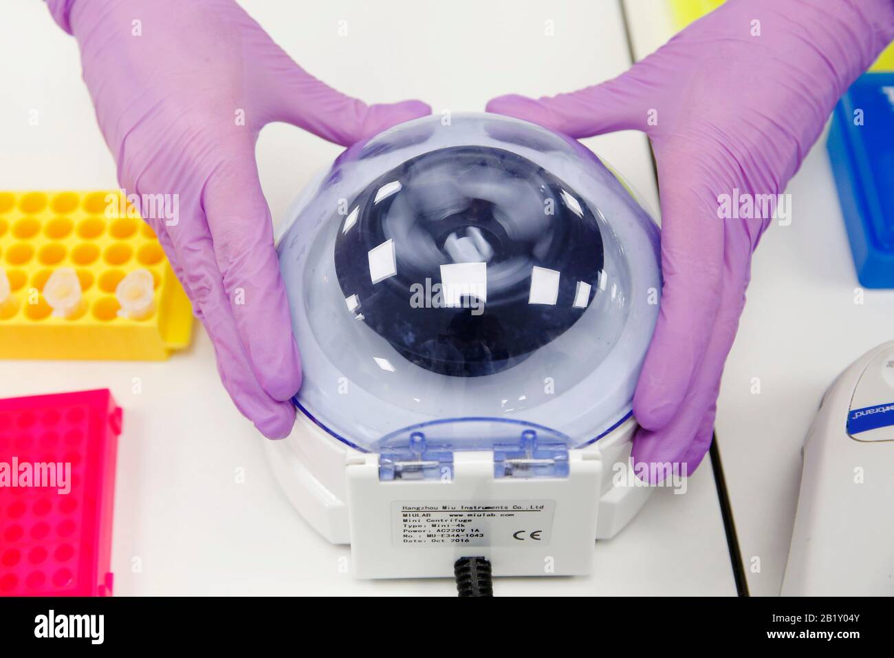 Un científico utiliza una centrífuga para fabricar rda sintético, que forma parte del kit de detección Coronavirus COVID-19, en las oficinas y laboratorios de Primerdesign de Chandler' Foto de stock