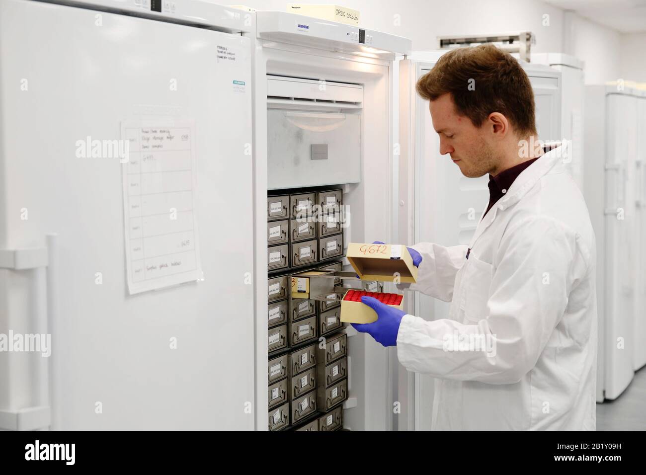 Un empleado selecciona un componente del control de stock positivo, utilizado para crear parte del kit de detección Coronavirus COVID-19, en el primer diseño de Foto de stock