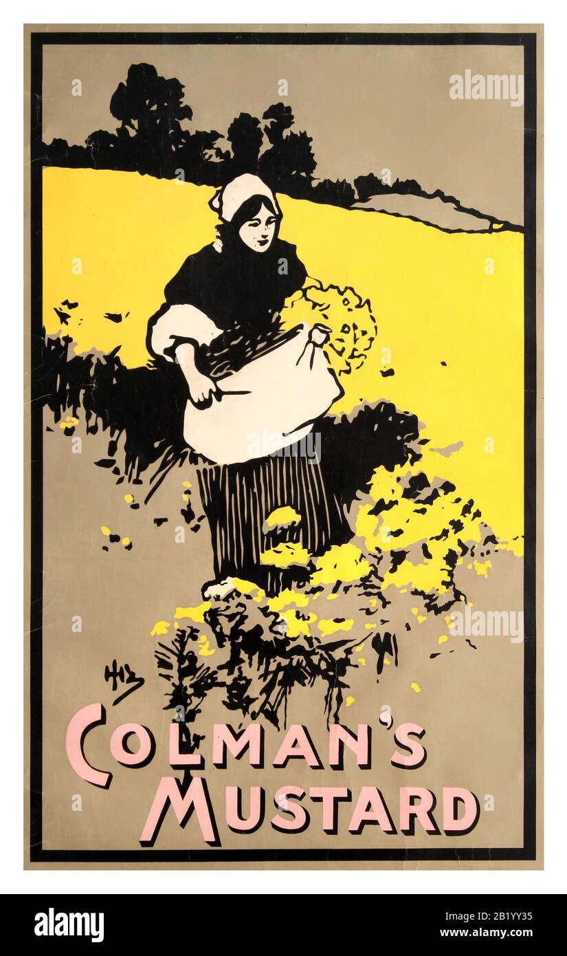 Vintage 1898 Litografía publicitaria de Mustard de Colman por John Hassall Foto de stock