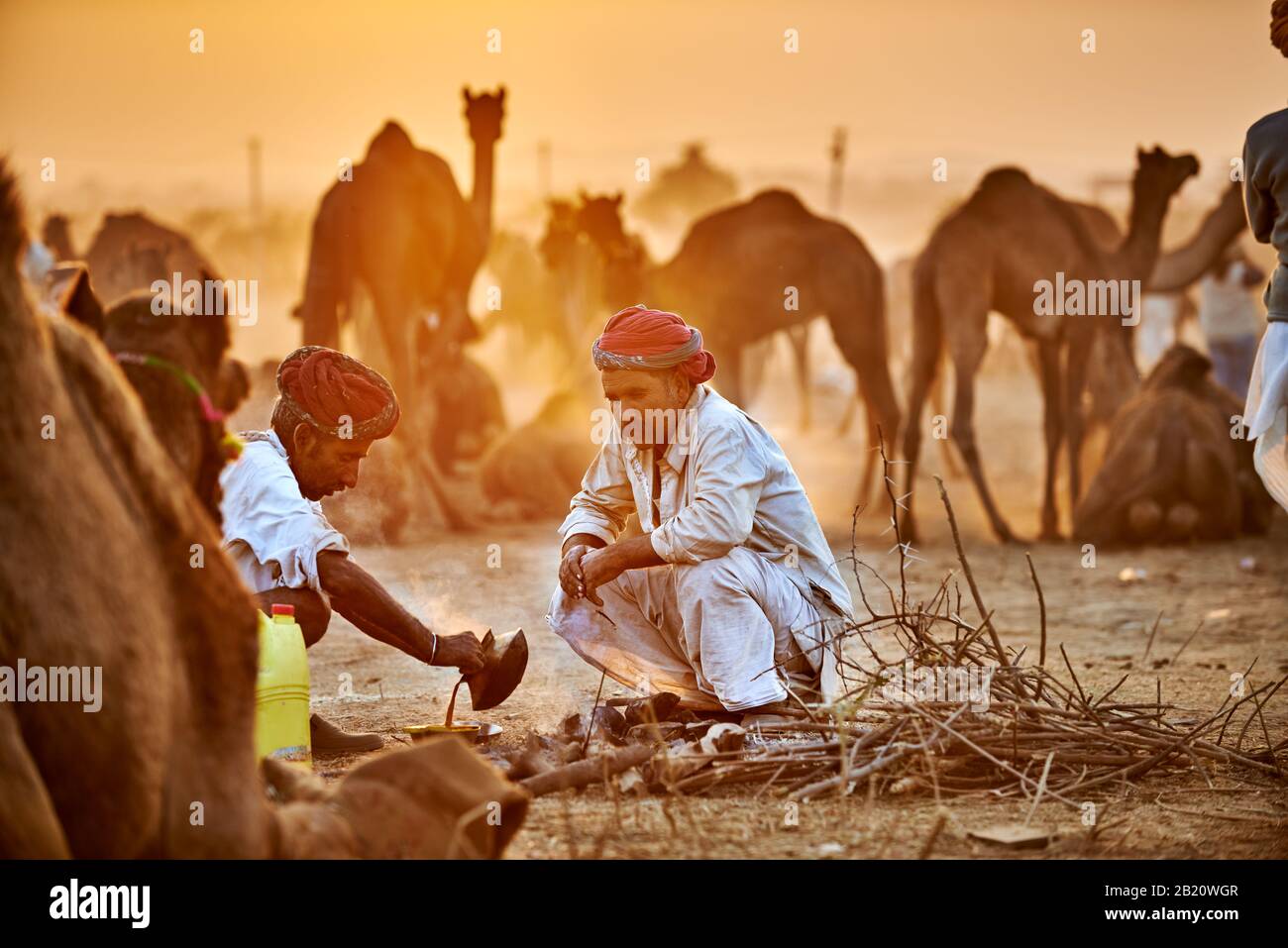 Hombres nómadas de la tribu con turbans tradicionales regatean por los precios entre sus camellos en la feria de camellos y ganado, Pushkar Mela, Pushkar, Rajasthan Foto de stock