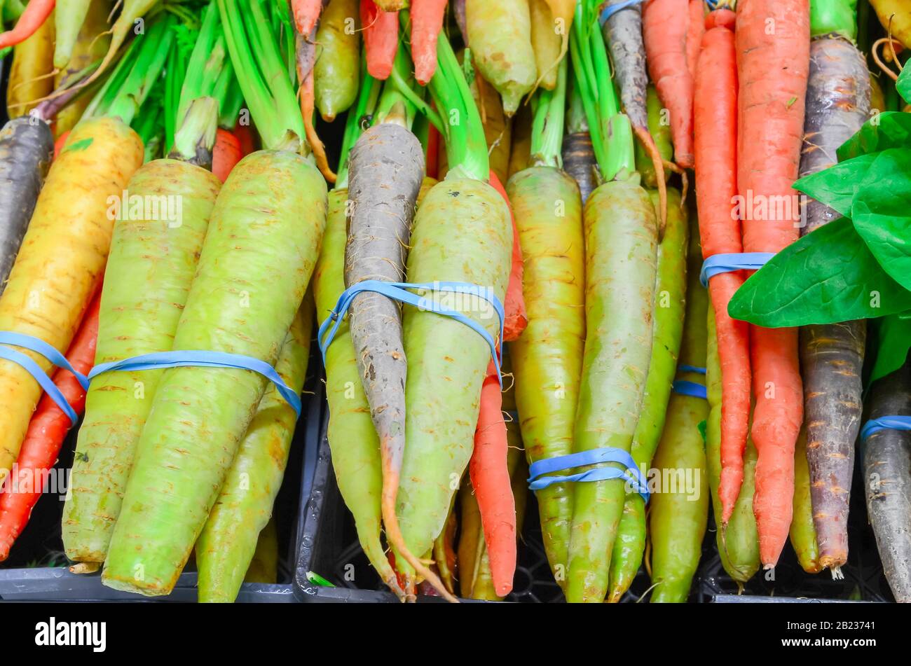 Zanahorias arcoiris apiladas con bandas de goma y lazos de torcedura en mesa en Farmers Market en Puyallup, Washington, Estados Unidos. Colorido fresco primavera verano foo Foto de stock