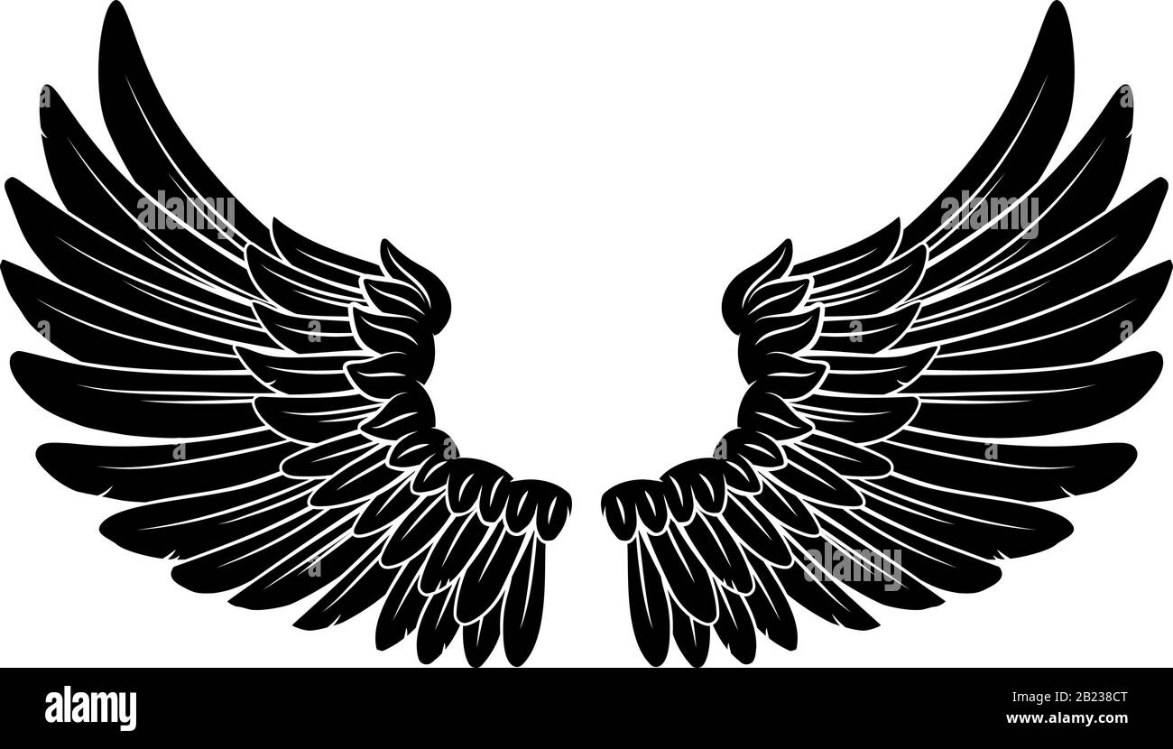 Alas Angel O Eagle Feathers Pair Ilustración Imagen Vector de stock - Alamy