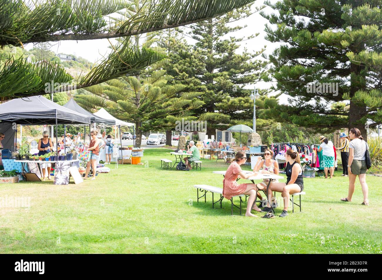 Sumner Sunday Market, Esplanade, Sumner, Christchurch, Región De Canterbury, Nueva Zelanda Foto de stock