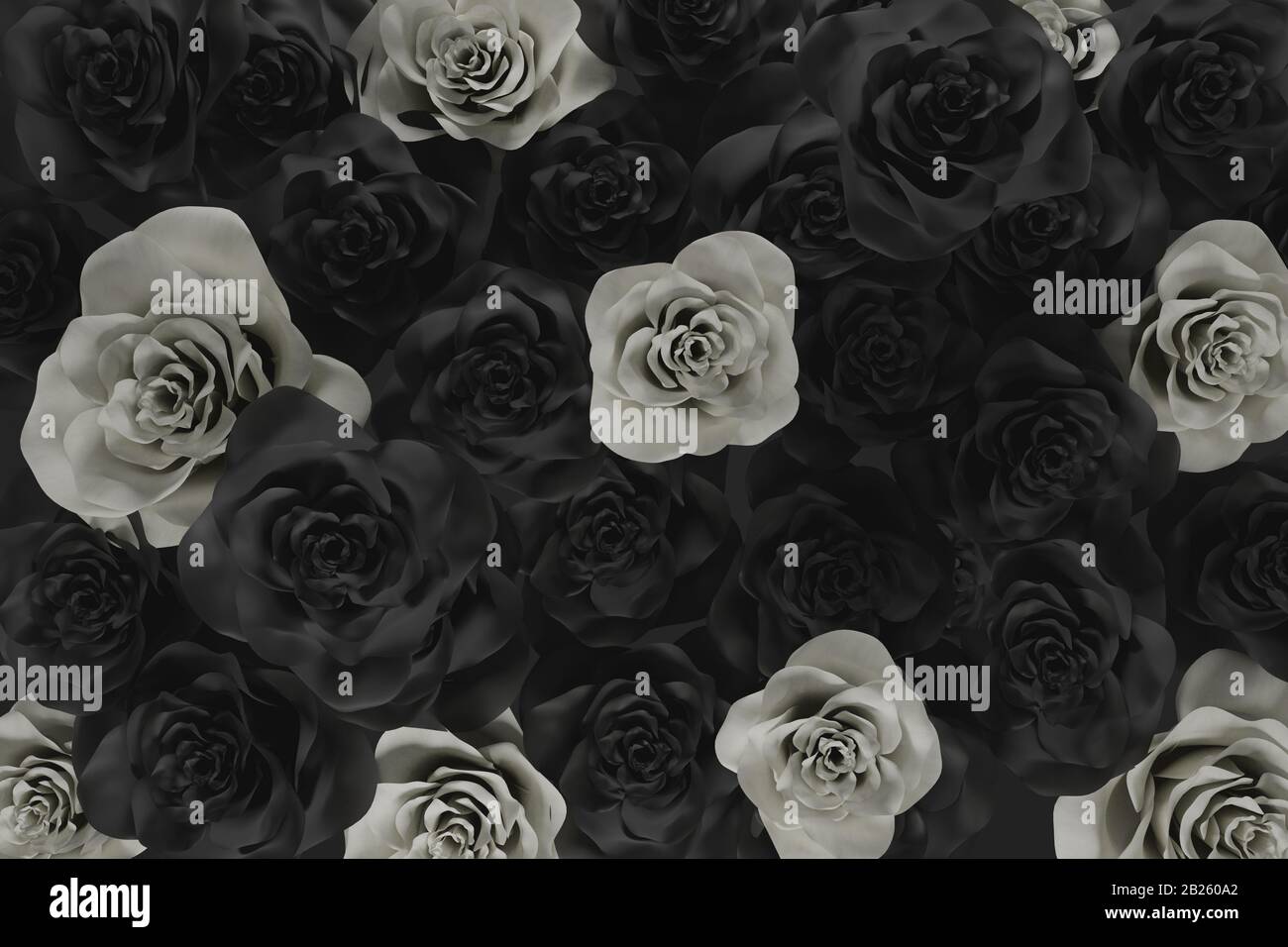 reproducción 3d de rosas blancas y negras Fotografía de stock - Alamy