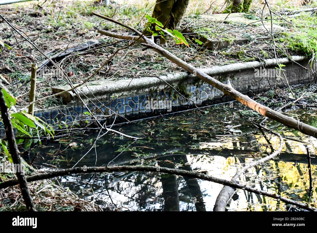 las ruinas de una antigua casa en lo profundo de los bosques que una vez fue utilizada como hotel, pero se incendiaron hace mucho tiempo después de un argumento entre una esposa y un marido Foto de stock