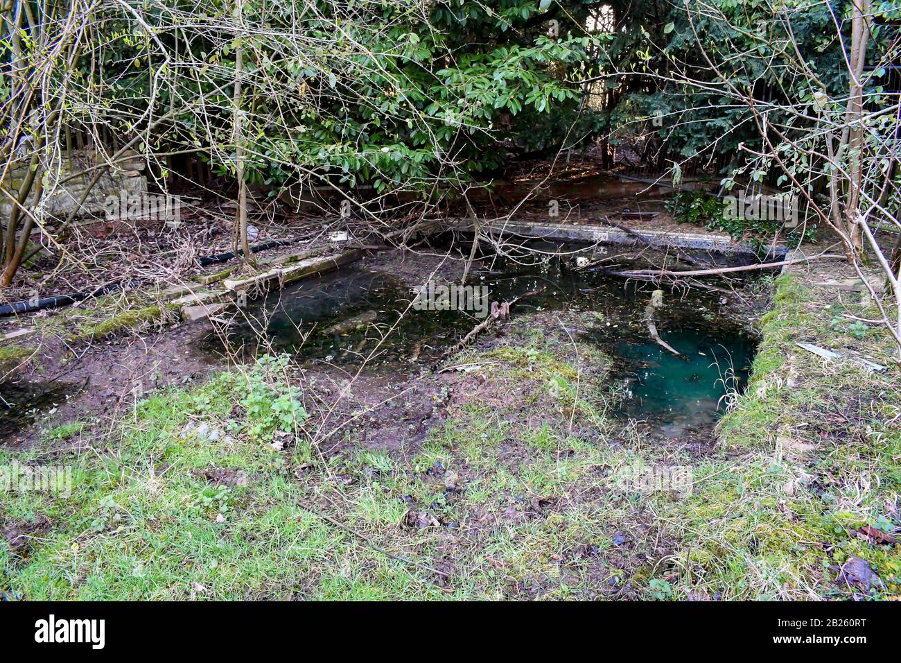 las ruinas de una antigua casa en lo profundo de los bosques que una vez fue utilizada como hotel, pero se incendiaron hace mucho tiempo después de un argumento entre una esposa y un marido Foto de stock