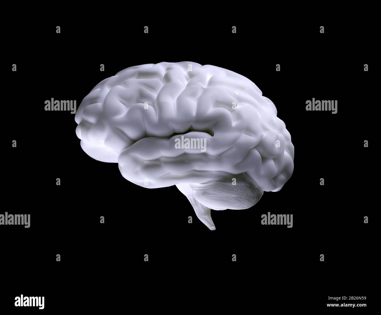 Modelo del cerebro humano aislado sobre fondo negro Foto de stock