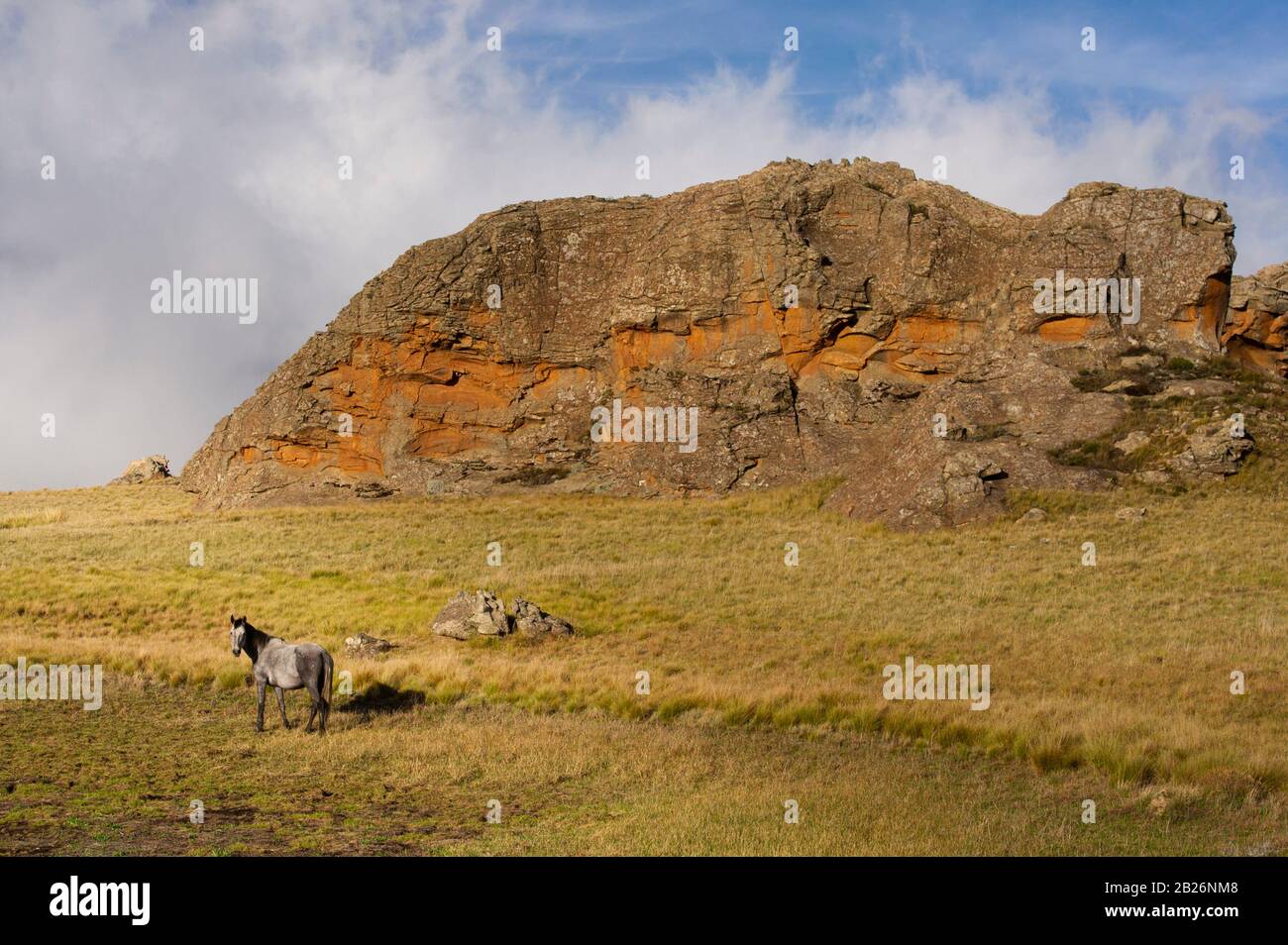 Parque Nacional Sehlabathebe Fotos e Imágenes de stock Alamy