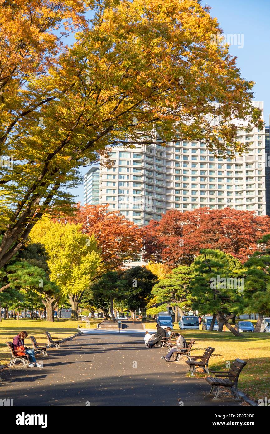 Árboles otoñales en Hibiya Park, Tokio, Japón Foto de stock
