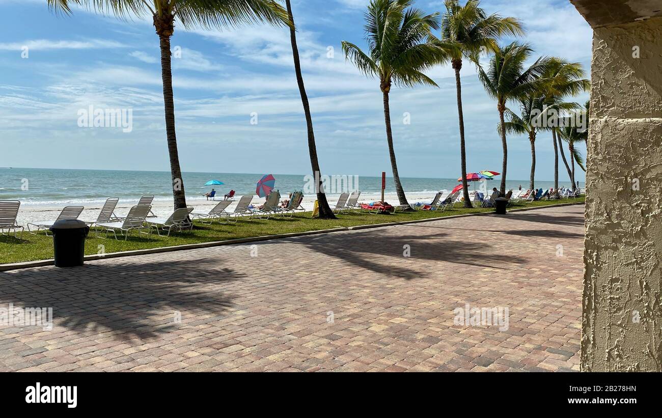 Relájese bajo el sol con sillas de playa, palmeras, arena frente al Golfo de México Foto de stock