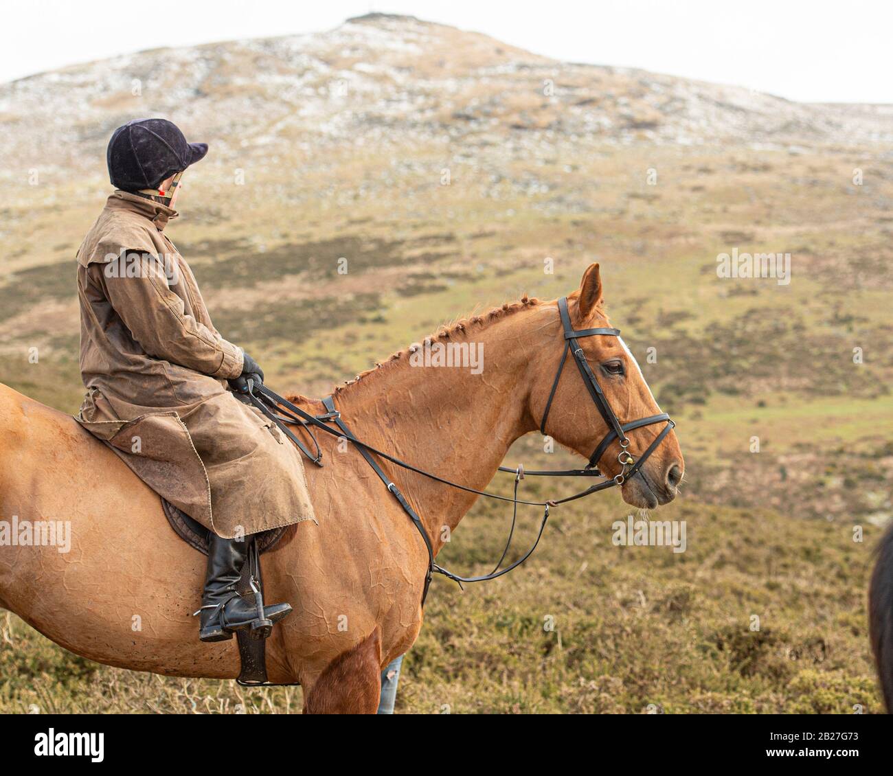 Dama jinete de caballo en Dartmoor Foto de stock