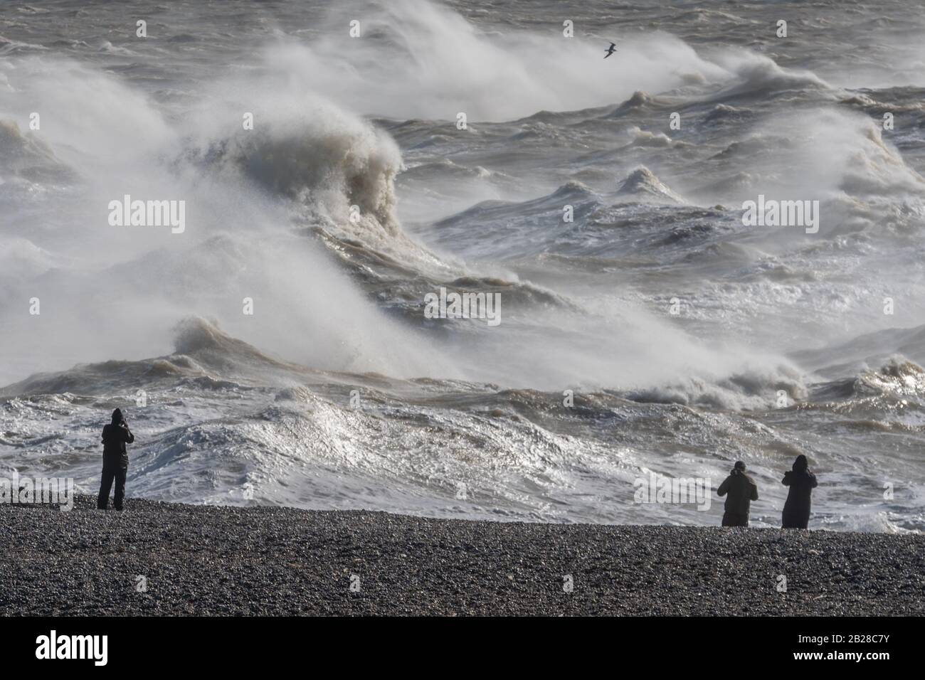 Fotógrafos bordean la playa de Newhaven, East Sussex, mientras la tormenta Jorge desata vientos fuertes y fuertes lluvias el 29 de febrero de 2020. Foto de stock