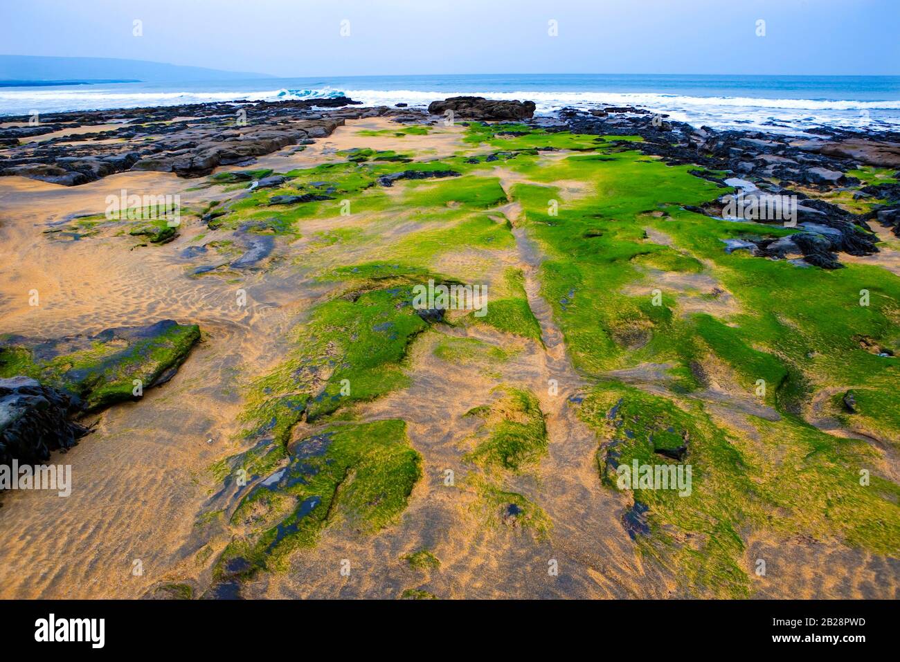 Paisaje costero cerca de Burren, costa oeste, Condado Clare, República de Irlanda Foto de stock