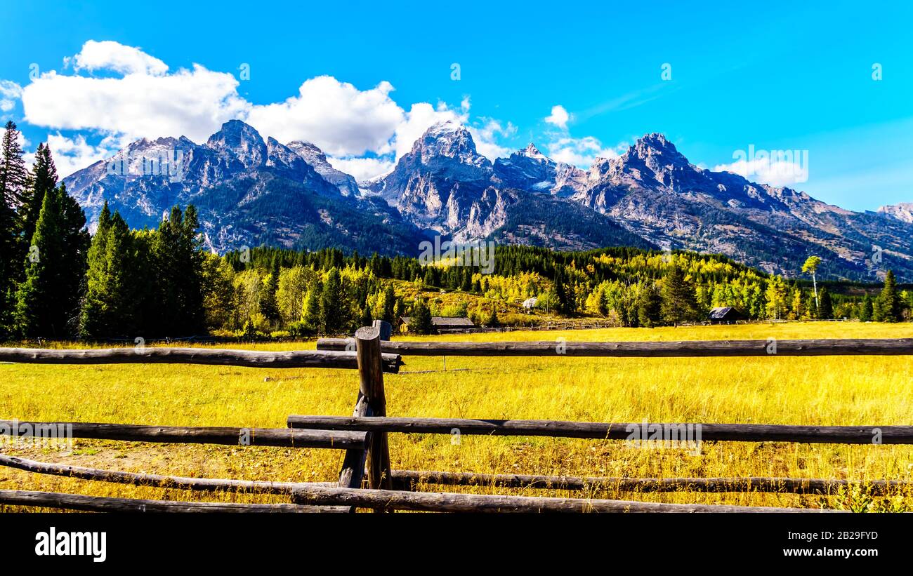 Los colores de otoño y los altos picos montañosos de Teton Medio, Grand Teton, Mount Owen y Teewinot Mountain en la cordillera Teton del Parque Nacional Grand Teton Foto de stock