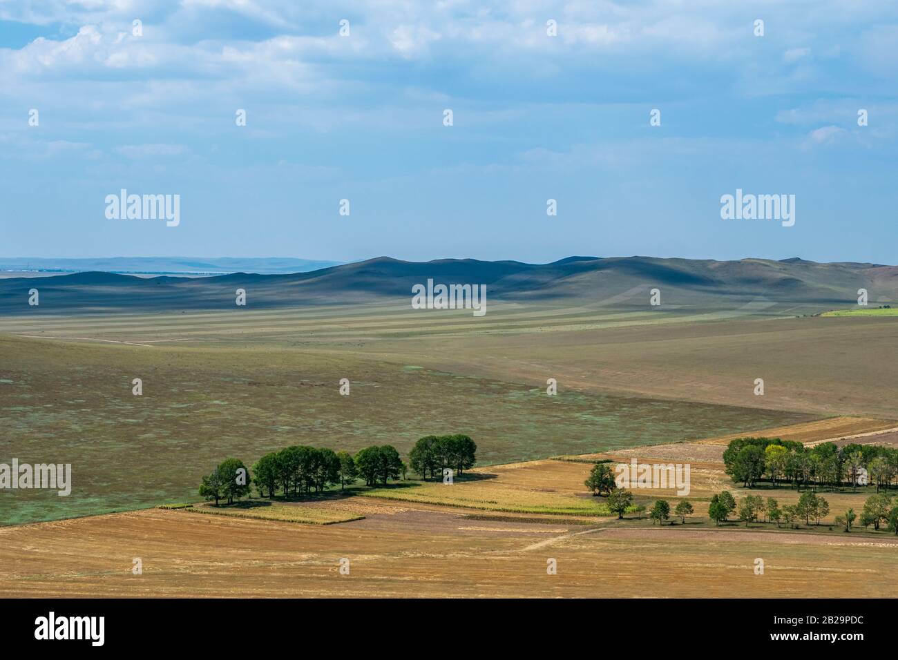 Estepa con colinas onduladas y árboles, Banner Taipusi, Mongolia Interior, China Foto de stock