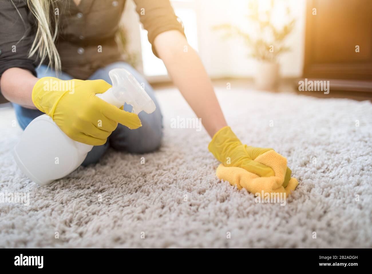 Ama de casa limpiando la alfombra con cepillo y haciendo las tareas domésticas. Foto de stock
