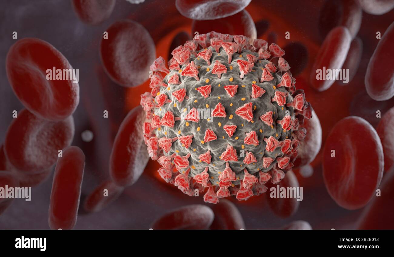 Coronavirus en la sangre. Un patógeno que ataca el tracto respiratorio. Renderización 3D Foto de stock