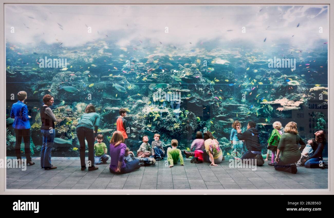 '''Aquarium, Atlanta'', 2013, Thomas Struth (1954) Foto de stock