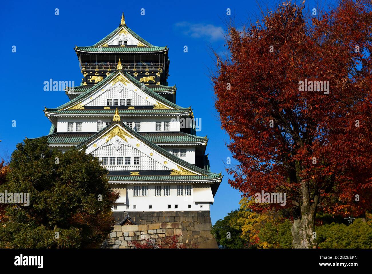 Castillo De Osaka, Kansai, Honshu, Japón, Asia. Foto de stock