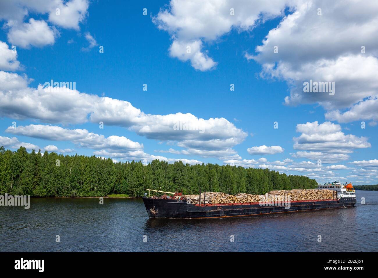 Rusia, región de Karelia, un barco de carga con grandes troncos en el río Svir, cerca de la aldea de Mandrogi Foto de stock