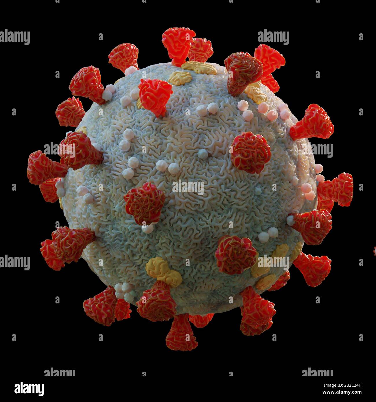 coronavirus, virus que causa enfermedades del resfriado común a enfermedades más graves, aislado sobre fondo negro Foto de stock