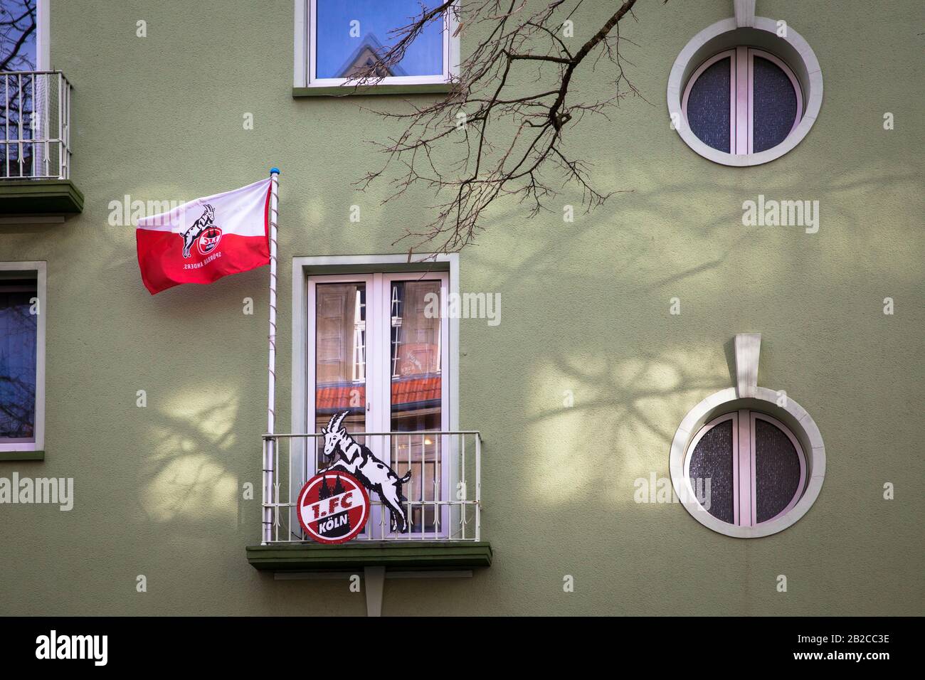 balcón decorado con bandera y mascota (billy goat) del club de fútbol 1. FC Koeln en una casa en el distrito Nippes, Koeln, Alemania. Mit 1. FC Koe Foto de stock