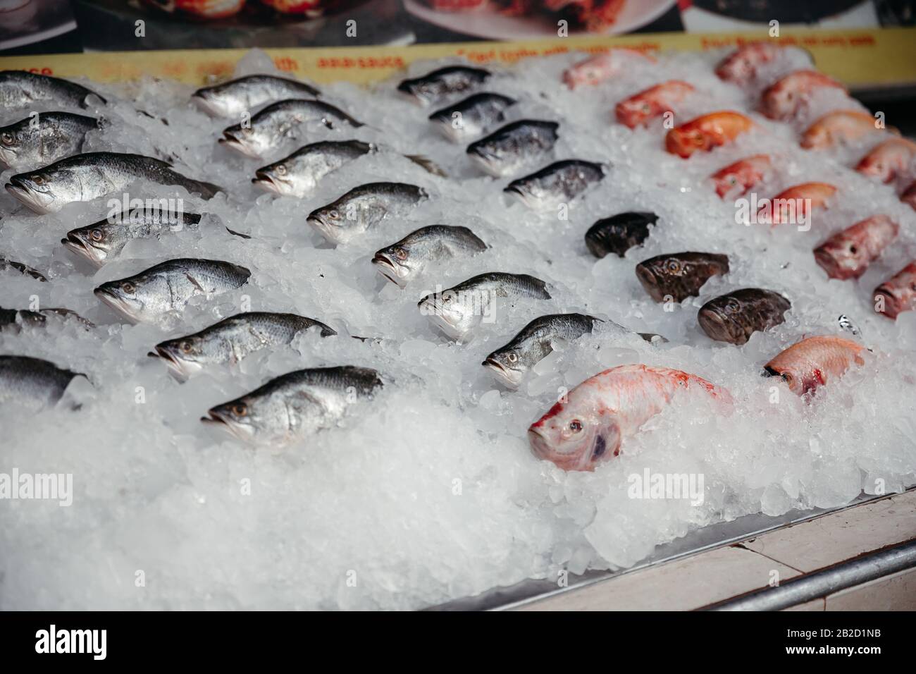 Mostrador de pescado fresco fotografías e imágenes de alta resolución -  Alamy