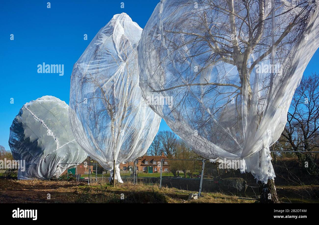 Malla para pájaros fotografías e imágenes de alta resolución - Alamy