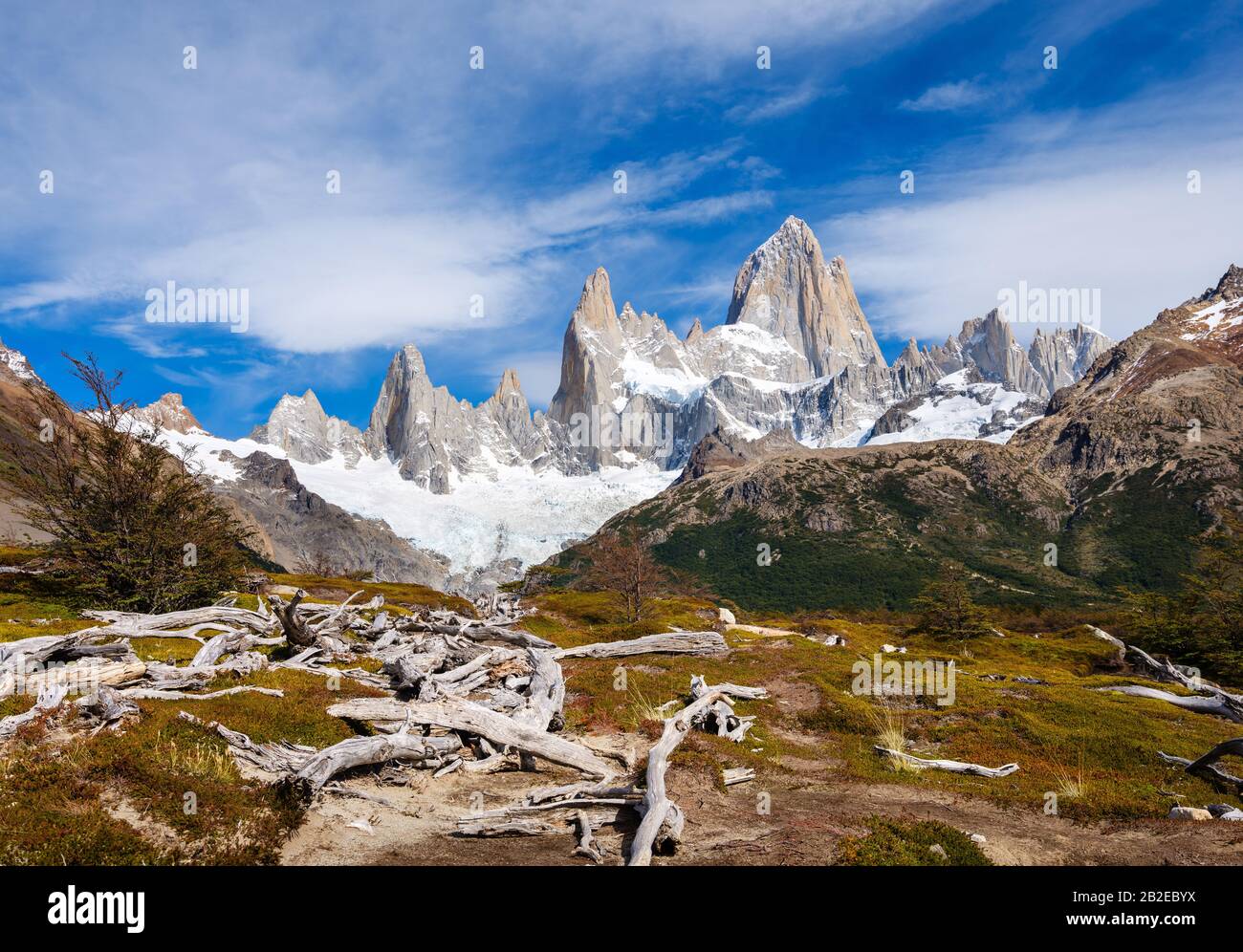 PARQUE Nacional LOS GLACIARES, ARGENTINA - ALREDEDOR DE FEBRERO 2019: Valle y árboles muertos en el Parque Nacional los Glaciares en Argentina. Foto de stock